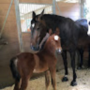 Meet your Posher, Wendy